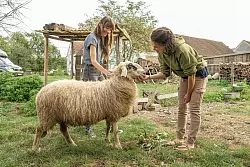 Abenteuer für die Großen und die Kleinen - etwa hier auf dem Biohof Freudenberg: Kinder freuen sich auf den Höfen besonders über die vielen verschiedenen Tiere. - © Markus Nass/Biohof Freudenberg/Landvergnügen/dpa-tmn