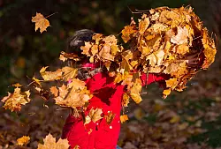 Kindern fehlt es zum Teil an Freiräumen, aber auch an geeigneten Plätzen fürs Spielen. (Archivbild) - © Patrick Pleul/dpa-Zentralbild/dpa