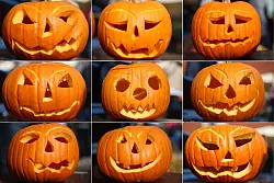 Geschnitzte Kürbisse: Nicht zuletzt Halloween hat den Kürbis hierzulande beliebter gemacht. (Archivbild) - © picture alliance / dpa