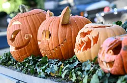 Ausgehöhlte Kürbisse mit gruseligen Fratzen in einem Vorgarten in Frankfurt am Main. (Archivbild) - © Arne Dedert/dpa