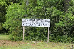 Sklavenfriedhof auf der McLeod Plantation: Kein Stein oder Kreuz erinnert hier an die Toten, nur ein nachträglich aufgestelltes Schild. - © Jörg Michel/dpa-tmn