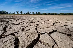 Der Bericht stuft Europa nicht pauschal als wasserbankrott ein, betont aber globale Verflechtungen. - &copy; Armin Weigel/dpa