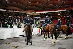 Mit Pferden war die Polizei im Stadion im Einsatz. - © Tom Weller/dpa