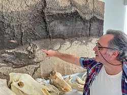 Archäologie hautnah: Jordi Serangeli erklärt ein Bodenrelief im «paläon» Schöningen. - © Ralf Johnen/dpa-tmn