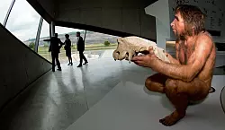 Lebensgroße Nachbildung eines Homo heidelbergensis: Unsere frühen Vorfahren lebten vor rund 300.000 Jahren in der Region. - © Julian Stratenschulte/dpa Themendienst/dpa-tmn