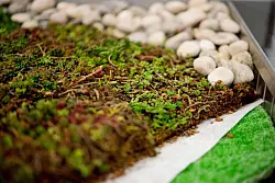 Eine gr&uuml;ne Schutzschicht auf dem Dach kann f&uuml;r einen k&uuml;hlenden Effekt im Sommer sorgen. - &copy; Inga Kjer/dpa-tmn