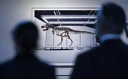 Besucher betrachten das T. rex-Skelett in Z&uuml;rich. - &copy; Michael Buholzer/KEYSTONE/dpa