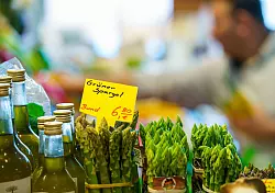 Eine Spargelstaude bleibt nur sieben bis zehn Jahre ergiebig - das tr&auml;gt zum hohen Preis bei. - &copy; Andreas Arnold/dpa