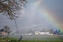 Felder müssen derzeit mehr bewässert werden als sonst. (Archivbild) - © Henning Kaiser/dpa