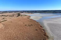 Der Bodensee ist auf einem niedrigen Stand. (Archivbild) - © Felix Kästle/dpa