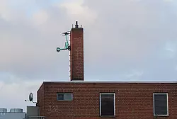 Anbieter der Elektro-Roller haben immer wieder Probleme mit Vandalismus. - &copy; Julian Stratenschulte/dpa