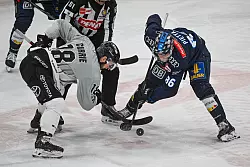 Der ERC Ingolstadt um Daniel Pietta (r) konnte ein Playoff-Aus gegen die Kölner Haie um Josh Currie abwenden. - © Armin Weigel/dpa