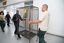 Laut Polizei bringt der Tierhandel der organisierten Kriminalit&auml;t Millionen ein. - &copy; Fabiano Veneza/SEAS RJ/dpa