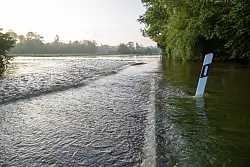 Eine Straße führt in das Überschwemmungsgebiet des Donaurieds. - © Stefan Puchner/dpa
