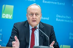 Bauernpräsident Rukwied: «Lebensmittel sind mehr wert.» (Archivbild) - © Michael Kappeler/dpa