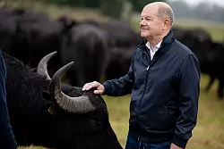 Hat als einfacher Abgeordneter nun mehr Zeit: Der fr&uuml;here Bundeskanzler Olaf Scholz (SPD). (Archivbild) - &copy; Fabian Sommer/dpa