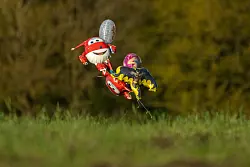 Angesichts der niedrigen Temperaturen der vergangenen Tage ist die Suche zu einem Wettlauf gegen die Zeit geworden. - &copy; Markus Hibbeler/dpa