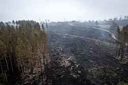 Im Süden von Thüringen haben sich Flammen ausgebreitet. - © Jacob Schröter/dpa