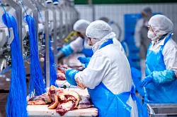 Im ersten Halbjahr ist die Fleischproduktion in Deutschland weider gestiegen. (Archivbild) - &copy; Jens B&uuml;ttner/dpa