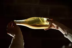 Damit es ein zweites Mal gärt, kommt bei der Champagner-Methode ein Hefedepot in die Schaumweinflasche. - © DWI/deutscheweine.de/dpa-tmn