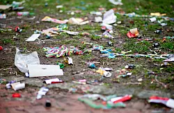 Die Reste einer Silvesternacht können zur Gefahr für Tiere werden. (Archivbild) - © Hauke-Christian Dittrich/dpa