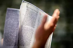 In der Urkunde von 1269 - hier eine Kopie - ist ein Br&auml;ter erw&auml;hnt. - &copy; Jacob Schr&ouml;ter/dpa