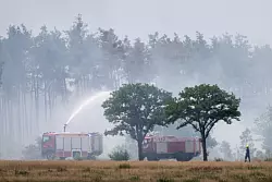 Löschfahrzeuge der Feuerwehr sind in Sachsen in der Gohrischheide im Einsatz. - © Sebastian Kahnert/dpa