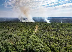 Rauch steigt in der Gohrischheide in den Himmel. - © Robert Michael/dpa