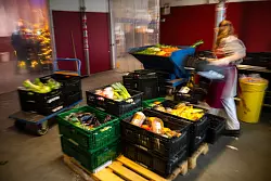 Lebensmittel gesucht, Helfer gesucht: Die Lage bei den Tafeln in Deutschland bleibt angespannt. (Archivbild) - &copy; Sina Schuldt/dpa