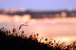 Im Gebiet der Berggletscher verändert sich die Biodiversität dramatisch, wenn das Eis schmilzt und die Temperaturen steigen. (Symbolbild) - © Karl-Josef Hildenbrand/dpa