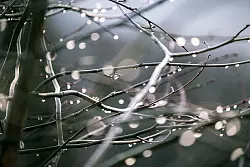 Es wird immer wieder nass an den Weihnachtsfeiertagen. - © Thomas Banneyer/dpa