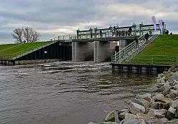 Im Nationalpark Unteres Odertal wurden Polder geflutet. - &copy; Patrick Pleul/dpa-Zentralbild/dpa