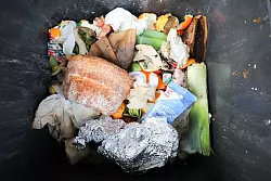 Nicht alles, was hier zu sehen ist, darf rein in die Biotonne. - &copy; Jan Woitas/dpa-Zentralbild/dpa