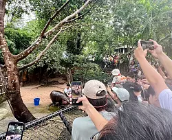 Der Andrang ist gerade am Wochenende enorm. - &copy; Carola Frentzen/dpa