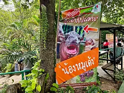 Dank solcher Schilder wissen Besucher gleich, wo es zu Moo Dengs Gehege langgeht. - &copy; Carola Frentzen/dpa