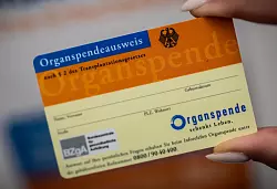 Einen Organspendeausweis bekommt man kostenfrei in Arztpraxen, in Apotheken oder online als PDF. - &copy; Michael Kappeler/dpa/dpa-tmn