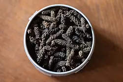 Schokoladenpfeffer schmeckt erst süßlich-scharf und warm, und entwickelt dann später eine feine Kakao- oder auch Röstnote. - © Franziska Gabbert/dpa-tmn