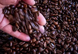 Kaffee und Schokolade waren im August deutlich teurer als ein Jahr zuvor. (Archivbild) - &copy; Jens B&uuml;ttner/dpa