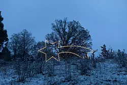 Ein beleuchteter Weihnachtsstern auf dem Dissenhorn bei Rottweil. - © Silas Stein/dpa