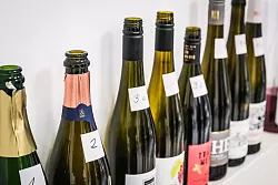 Von Profis lernen: Bei Weinverkostungen oder Seminaren lernt man Kontraste kennen, vergleicht etwa den jungen mit dem gereiften Weißwein. - © Ricarda Dieckmann/dpa-tmn