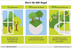 Die 3-30-300-Regel wurde von Cecil Konijnendijk, einem Urban-Greening-Experten, für gesündere Städte entwickelt. Dass die Nähe von Bäumen und Grün auch unser seelisches Wohlbefinden stärken kann, haben mehrere Studien erwiesen. - © dpa-infografik/dpa-tmn