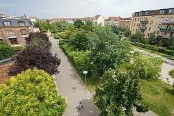 Tut gut: Wer Grünflächen in der Nähe hat, fühlte sich tatsächlich auch gesünder. - © Peter Endig/dpa-Zentralbild/dpa-tmn