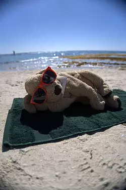 Auch am Strand durfte sich Jack schon sonnen. - © Holiday Inn Perth City Centre/dpa