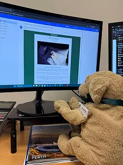 Jack sucht aktiv mit - zusammen mit den Hotelmitarbeitern durchforstet er das Internet nach Spuren seiner Familie. - © Holiday Inn Perth City Centre/dpa