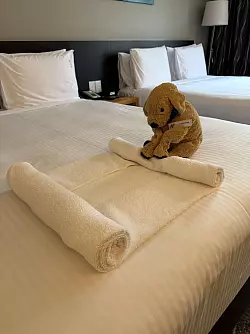 Der kleine Stoffhund Jack macht sich auch im Housekeeping nützlich, wie Hotelmitarbeiter in Posts zeigen. - © Holiday Inn Perth City Centre/dpa