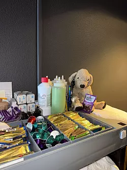 Jack ist ein Tausendsassa und macht sich den Hotelmitarbeitern zufolge überall nützlich. - © Holiday Inn Perth City Centre/dpa