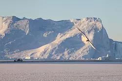 Kleines Boot vor riesigen Eisbergen. - © Steffen Trumpf/dpa