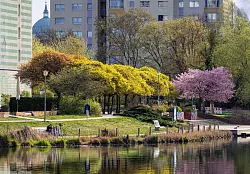 Grün und Wasser sorgen für Verdunstung. - © Soeren Stache/dpa/ZB