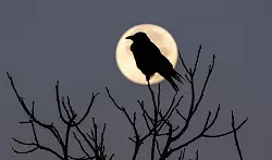 Faktoren wie Licht, die Tagesstruktur, psychische Verfassung sowie die Umgebung haben einen großen Einfluss auf unseren Schlaf, sagt Chronobiologe Spitschan. (Archivbild) - © Julian Stratenschulte/dpa