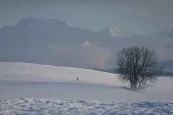 Der Deutsche Wetterdienst gibt an diesem Freitag seine Bilanz für den Herbst bekannt. (Symbolbild) - © Karl-Josef Hildenbrand/dpa